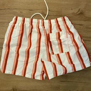 Zara Men’s Swim trunks